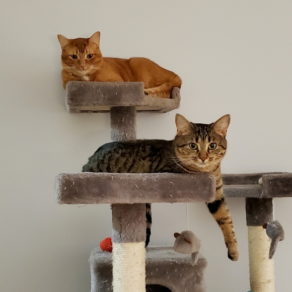 Closet Policies/Promos - Picture 3 of 6